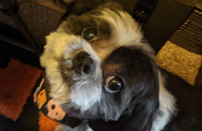 Rudy Roo January 2023 