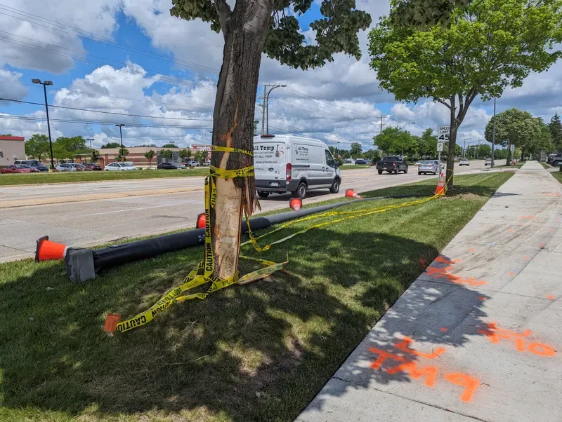 crash scene with damaged tree, downed light pole