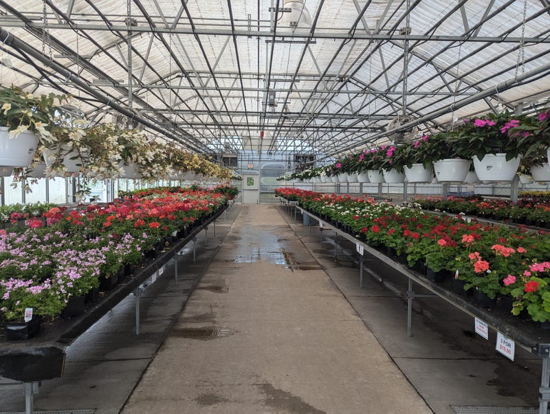 green house