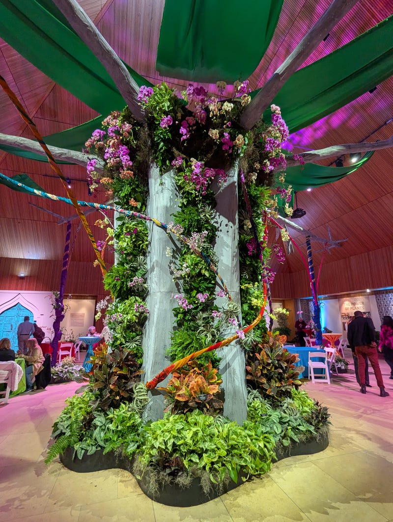 Orchid Show