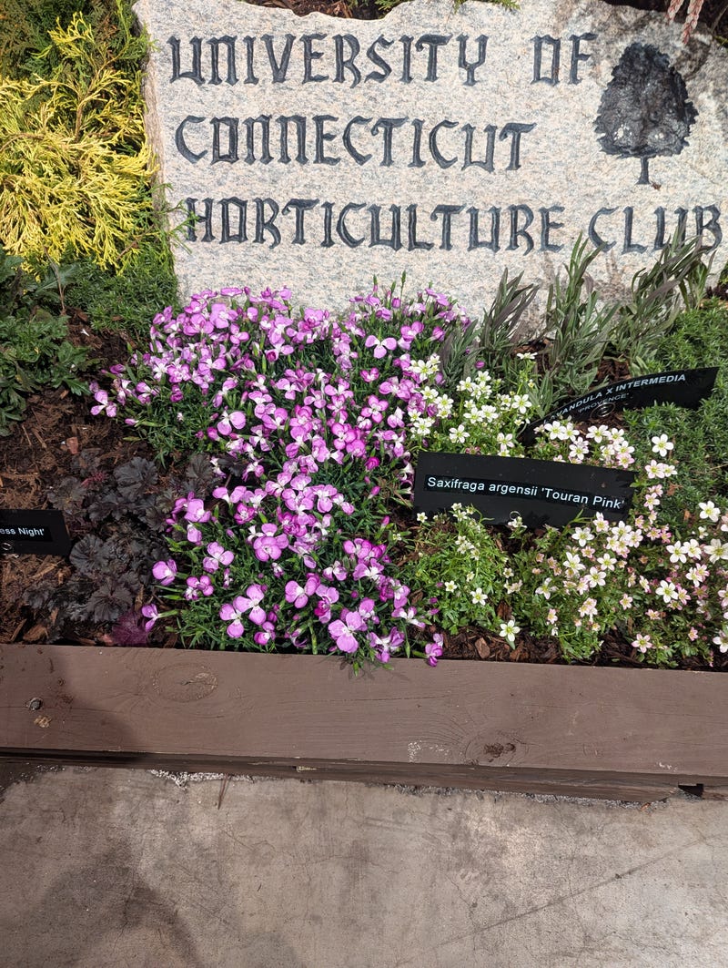 Flower and Garden Show Hartford