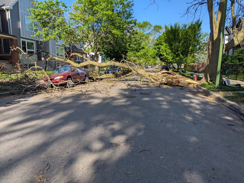 Car crushed by tree in Jefferson Park