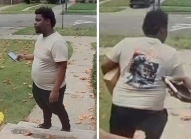 Package thief