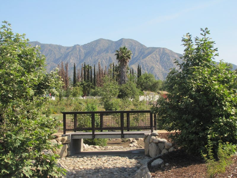 Pacoima Wash Natural Park