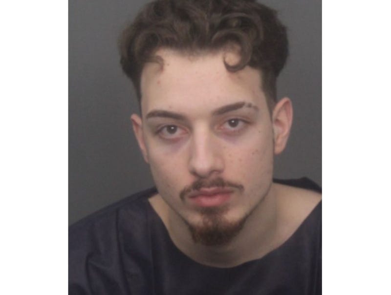 Robert Paljusevic booking photo