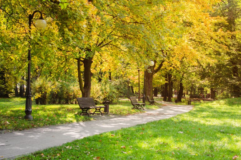 Park