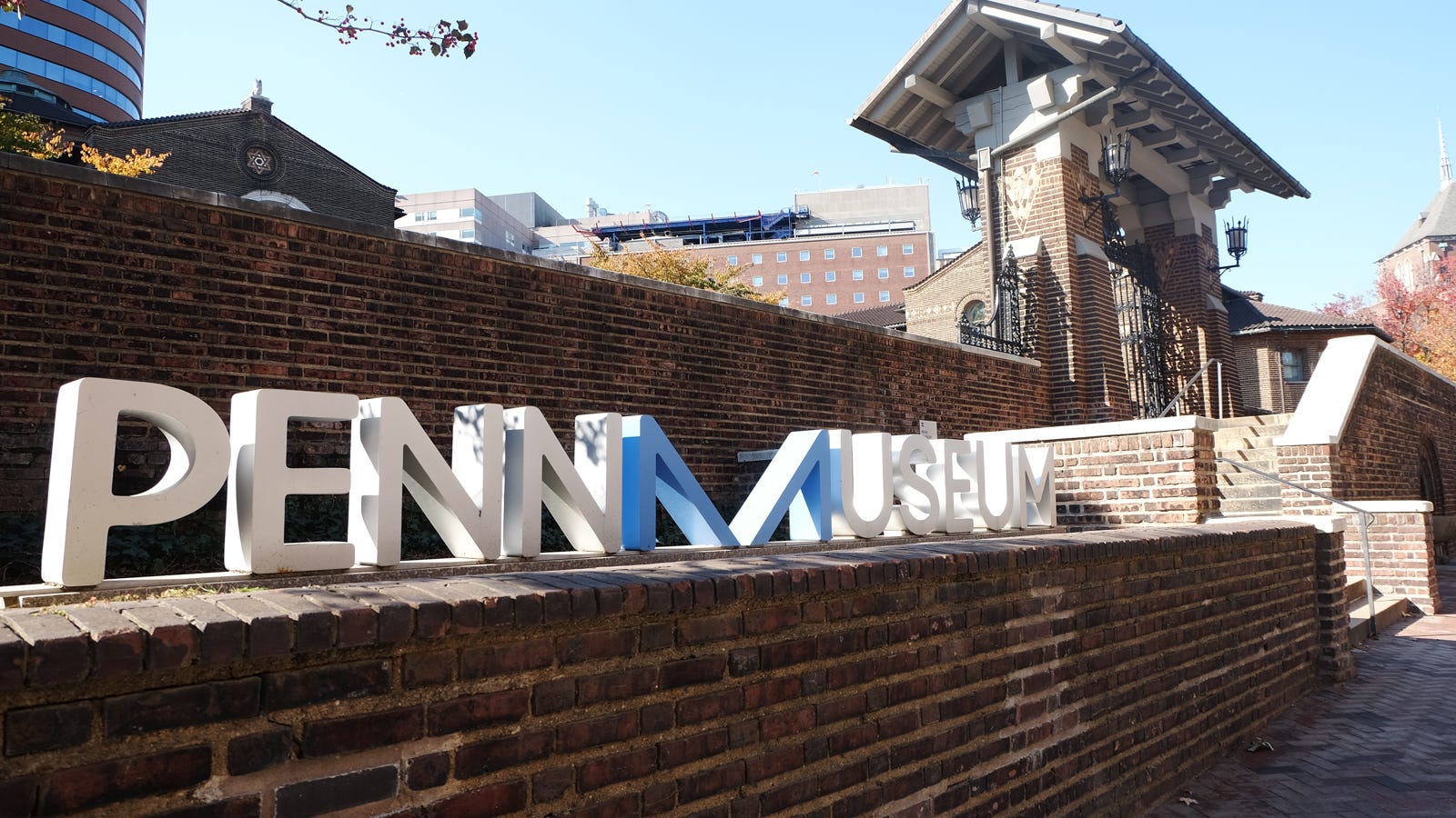 Judge to decide fate of stolen skulls of Black Philadelphians kept at Penn Museum