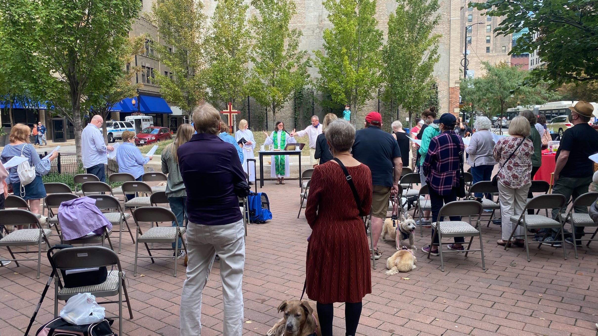 Dogs, horses and guinea pigs among the various animals lined up for church blessing