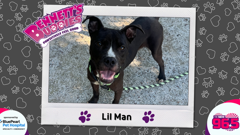 Meet Lil Man! Bennett's Buddies at the PSPCA