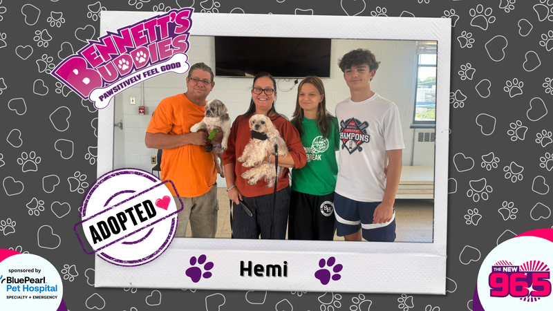Meet Hemi! Bennett's Buddies at the PSPCA