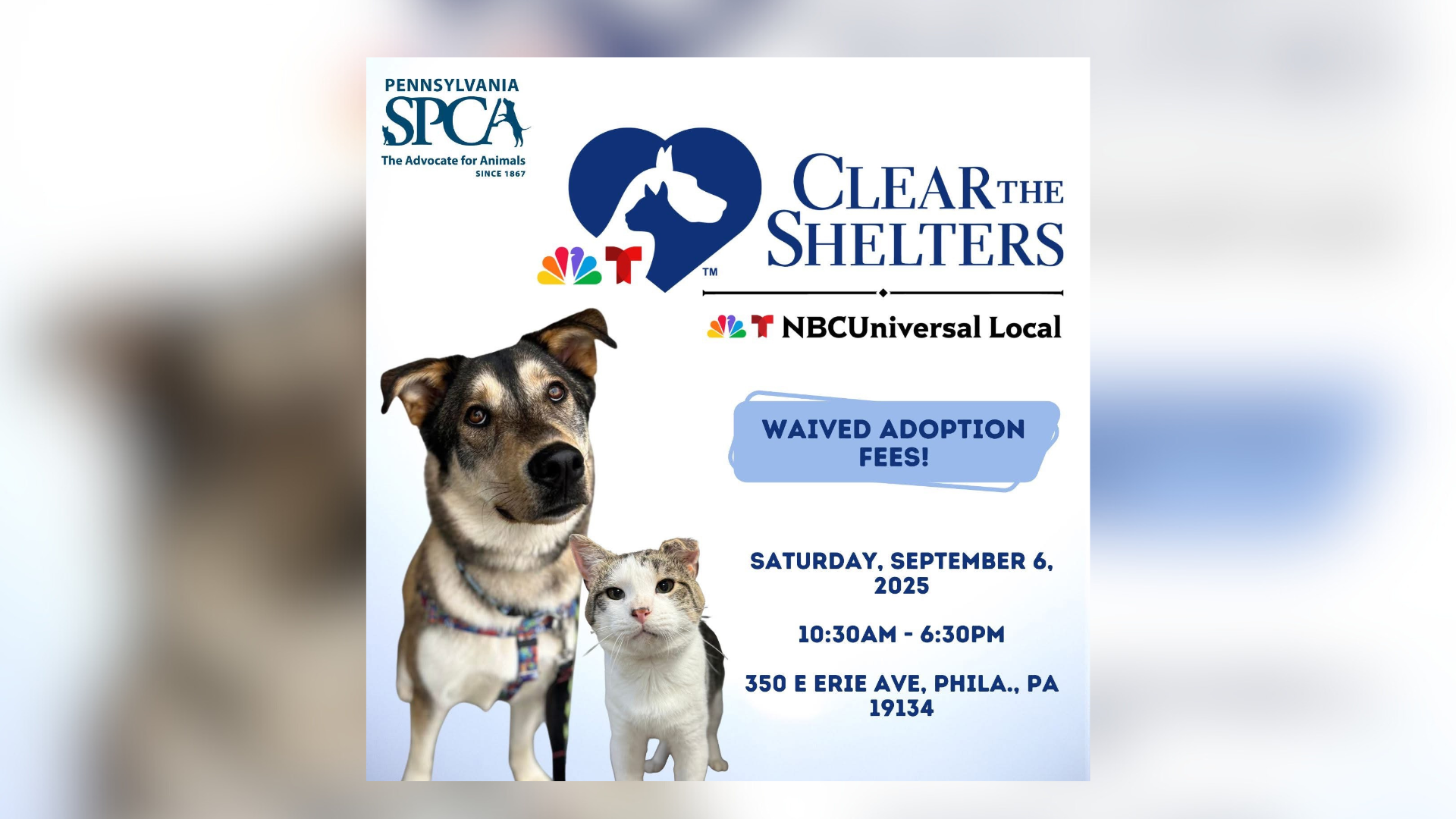 Clear The Shelters Waived-Fee Adoption Event at the PSPCA