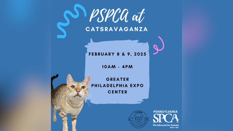 PSPCA at Catstravaganza