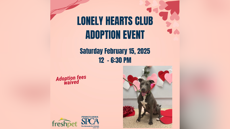 PSPCA Lonely Hearts Club Adoption Event