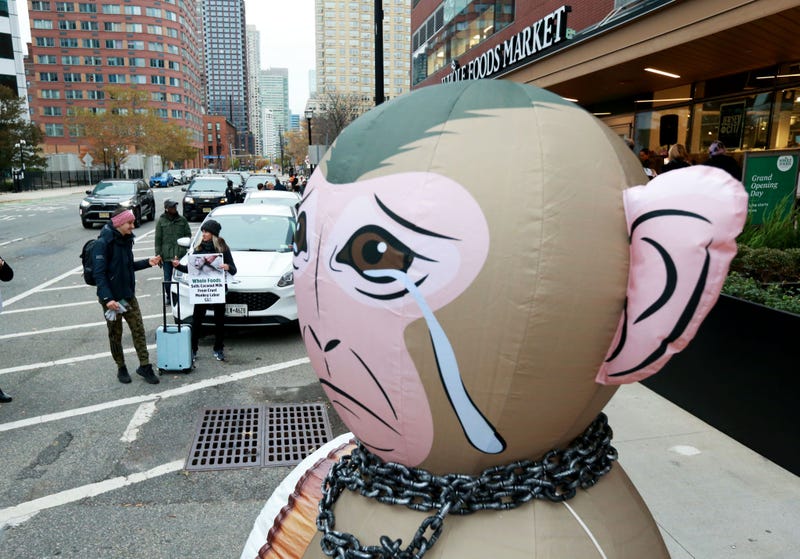 PETA demonstrators protested the sale of Thai coconut milk at Whole Foods Market in Jersey City Thursday.