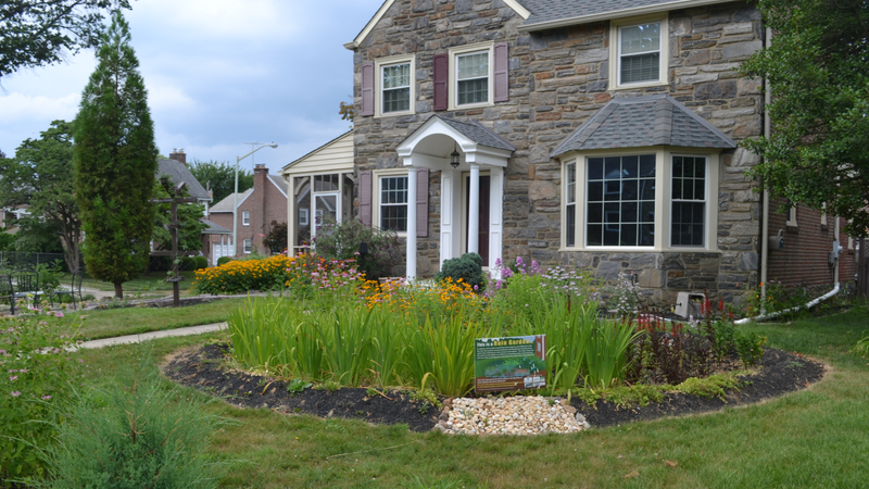 Philadelphia Rain Garden