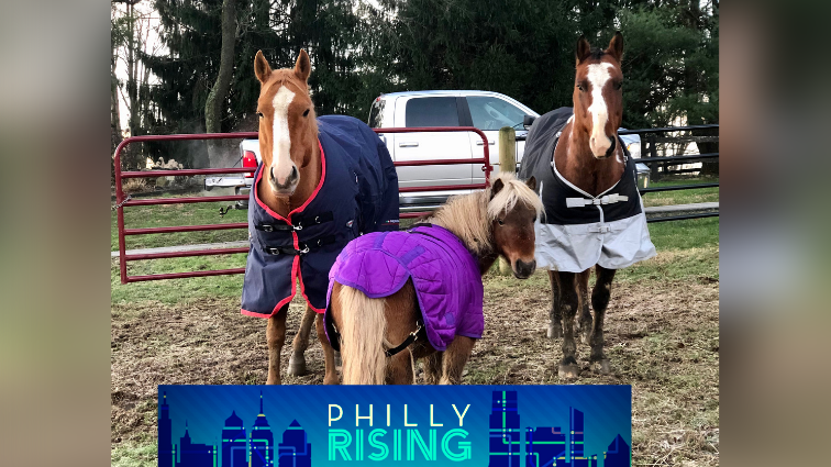 Philly Rising: 'Concrete Cowgirl' on a mission to keep legacy of Black riders alive