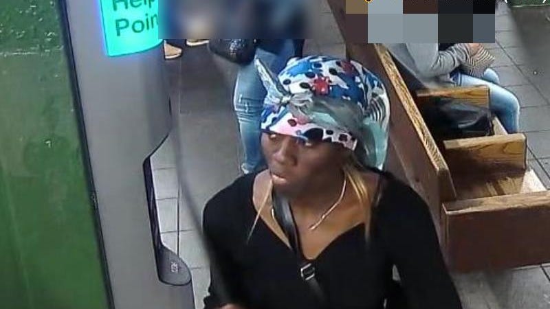 VIDEO & PICS: Suspect sought after woman pushed into train at Times Square station