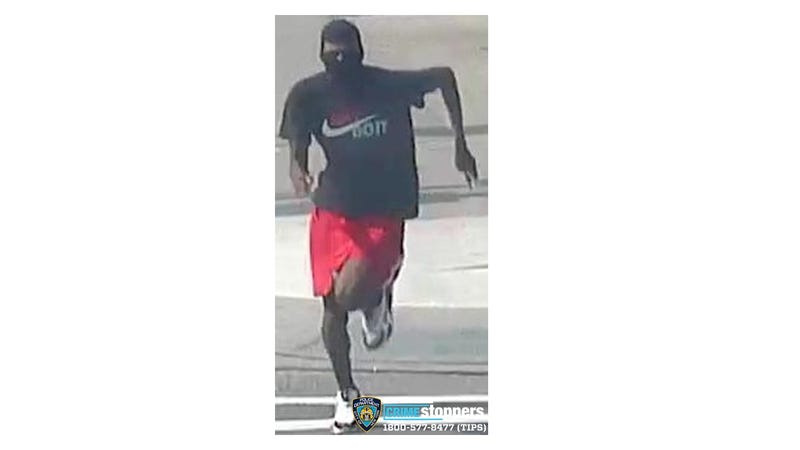 Suspect who snatched woman's purse aboard Queens subway train sought