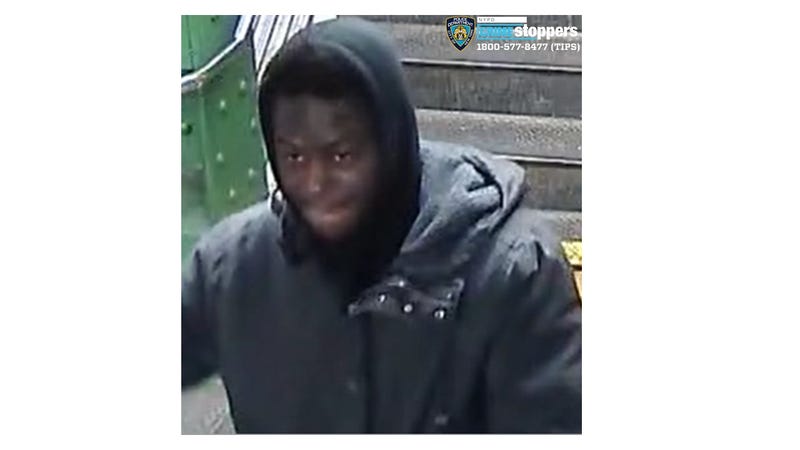 Times Square pepper-spray attack