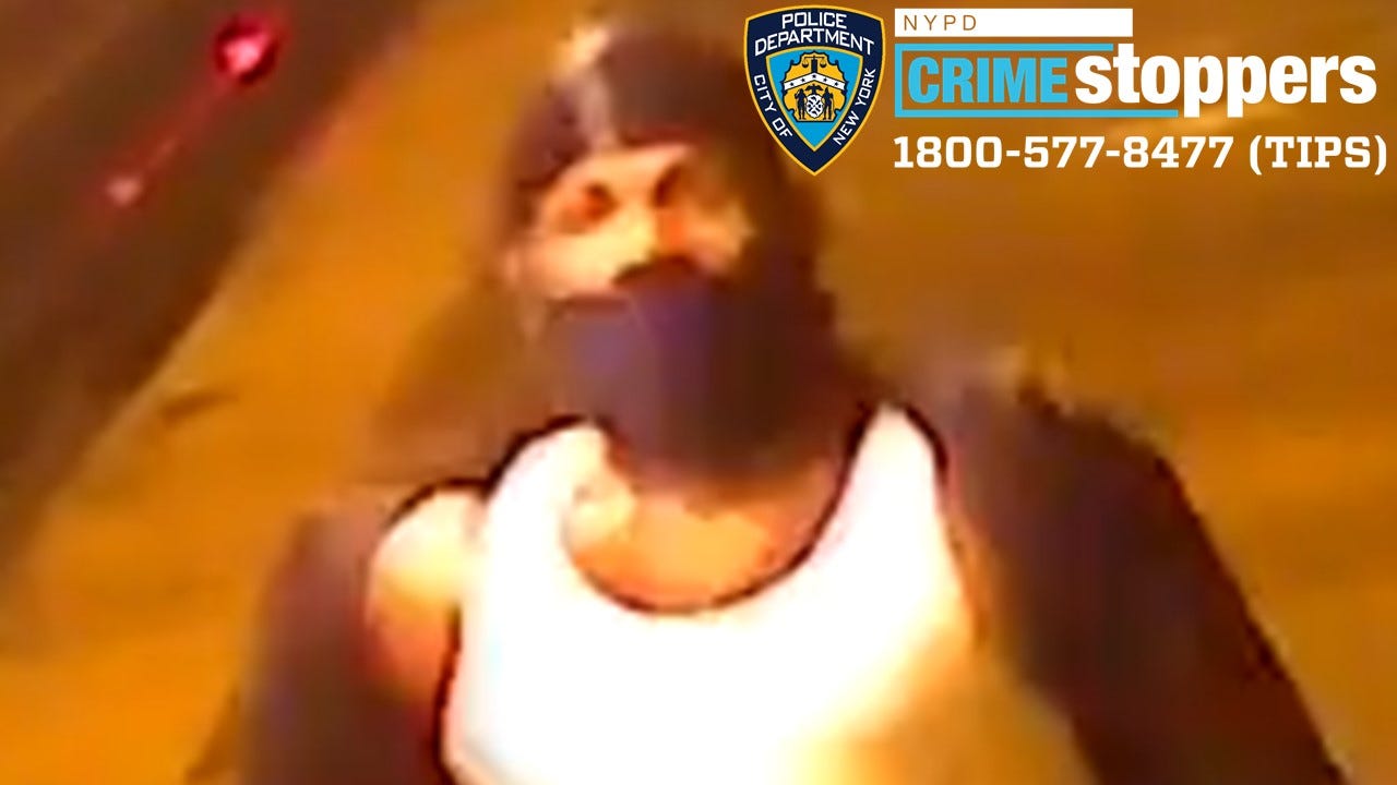 Man sprayed with mystery substance in Bronx subway robbery