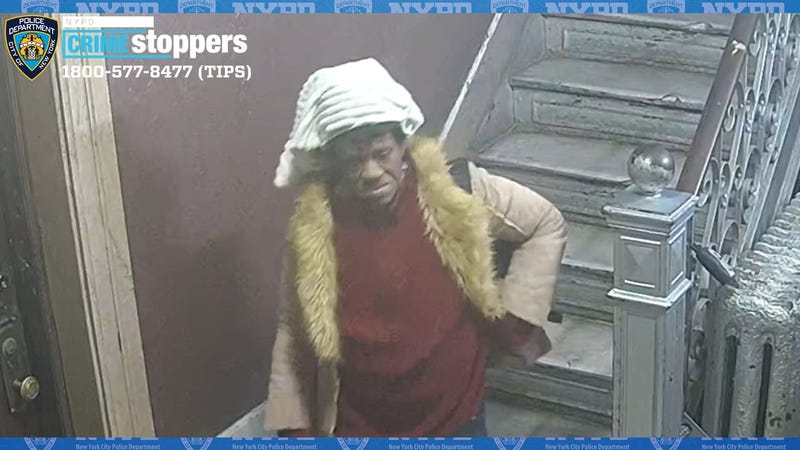 Police are searching for a rogue package thief who bit a woman who caught her stealing from a Brooklyn lobby this month