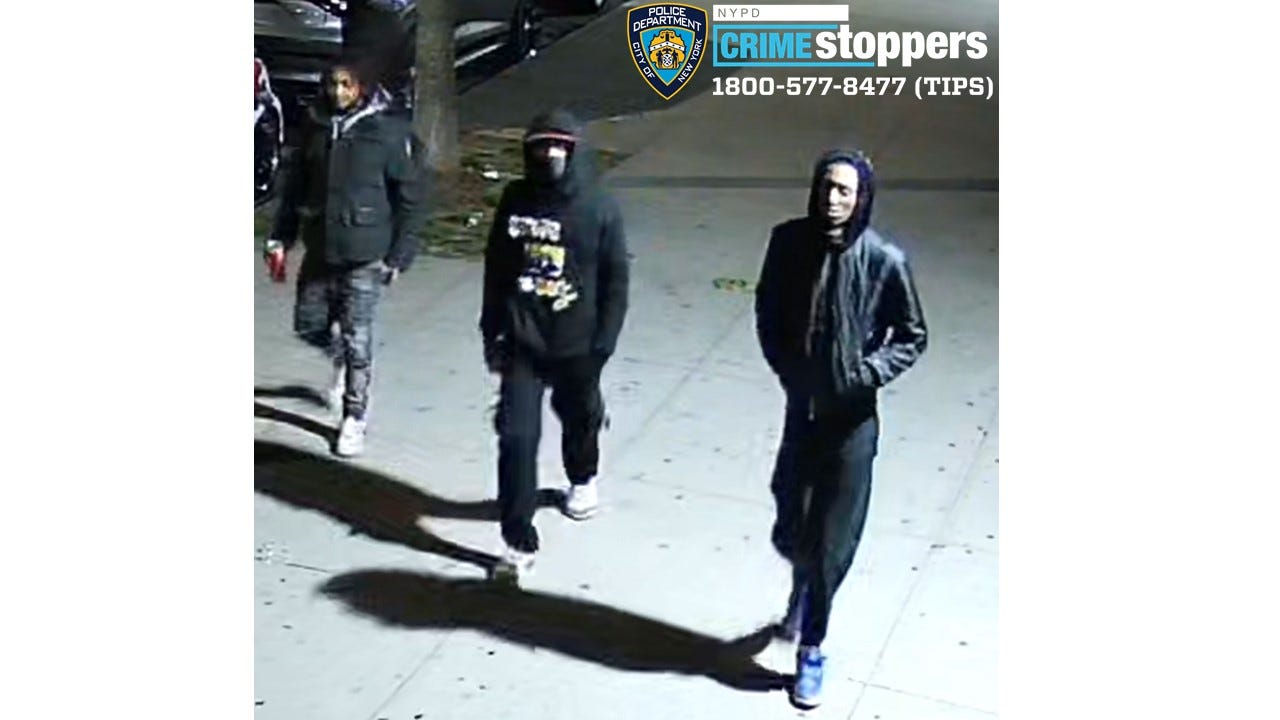 VIDEO: Trio sought in violent robbery on Bronx street