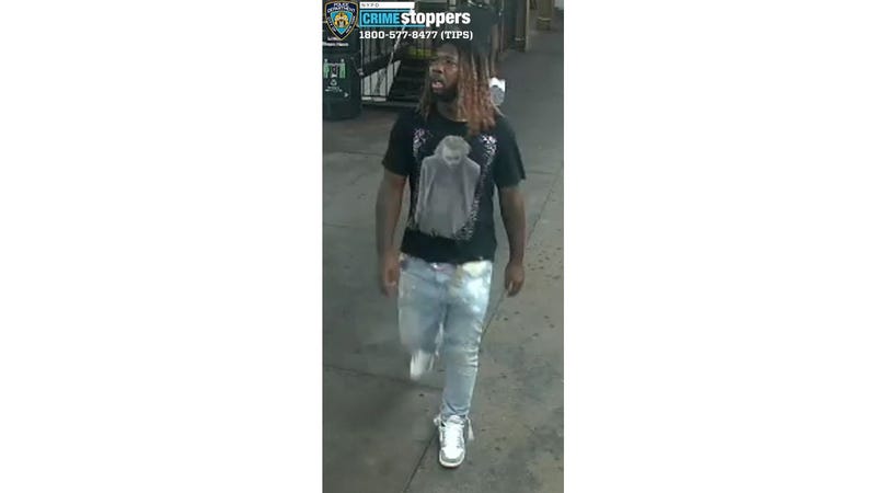 Brooklyn Bridge Park shooting suspect.