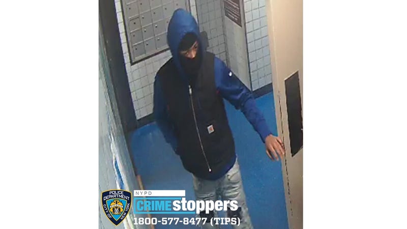 Robbery and assault suspect
