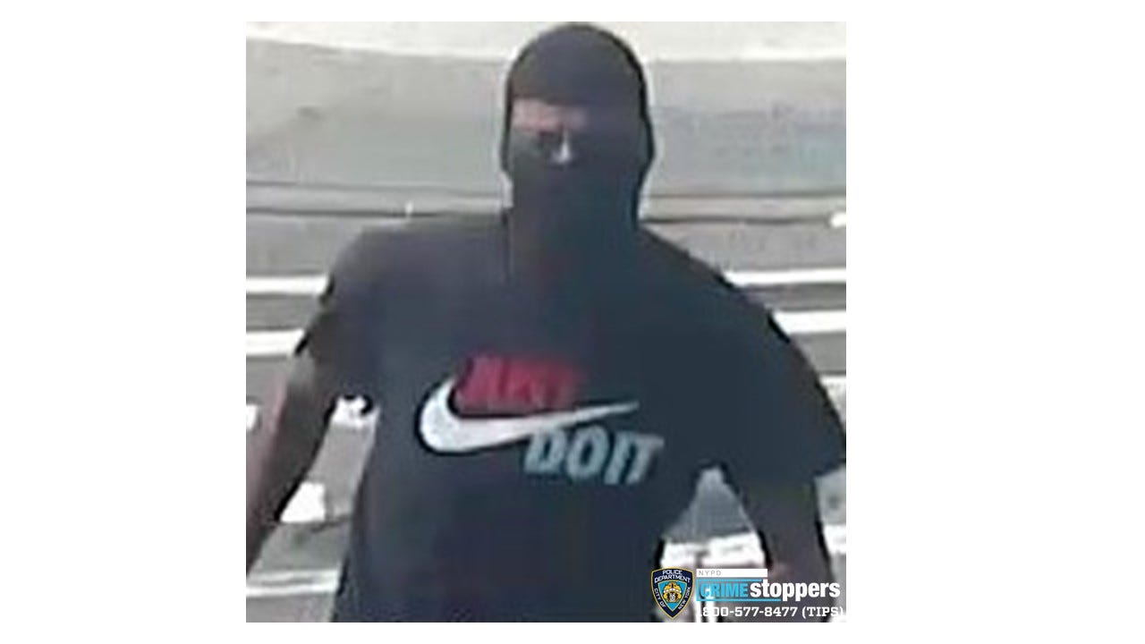Suspect who snatched woman's cellphone aboard Queens subway train sought