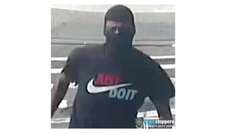 Queens purse thief