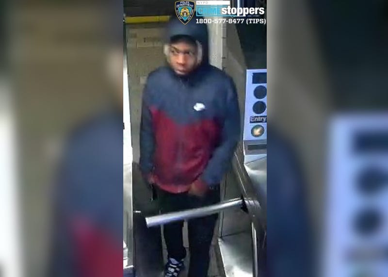 Police released an image Friday of a suspect wanted in an assault at the City Hall subway station in Lower Manhattan on March 1
