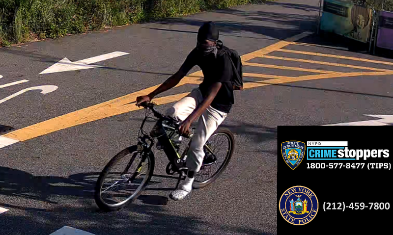 Woman choked, punched before attempted rape at Brooklyn state park