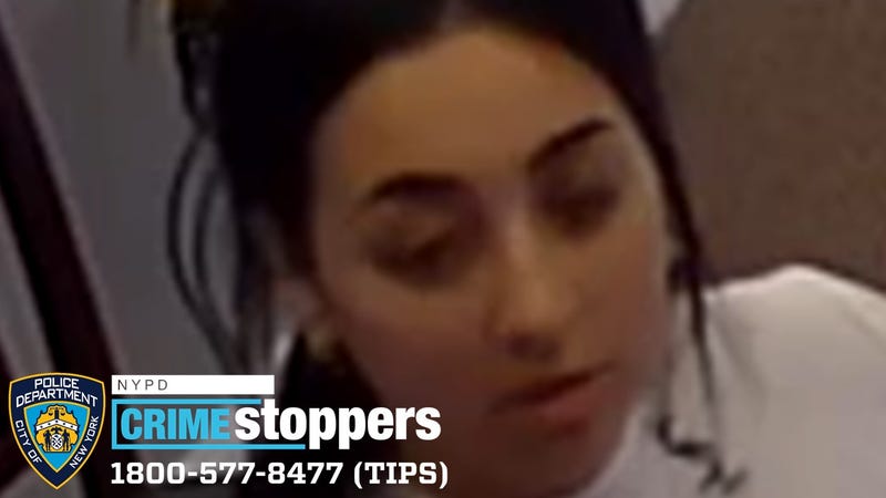 QNS jewelry theft