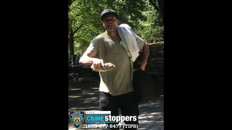 The suspect fled the park, according to the NYPD