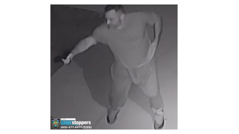 Gunman who fired weapon at group on Queens street sought by NYPD