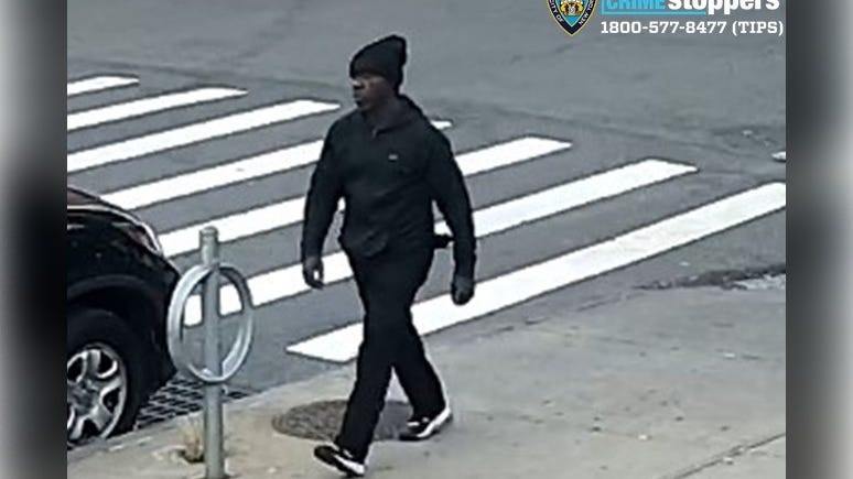 2 thieves shove woman, 72, to ground, steal purse at gunpoint: NYPD