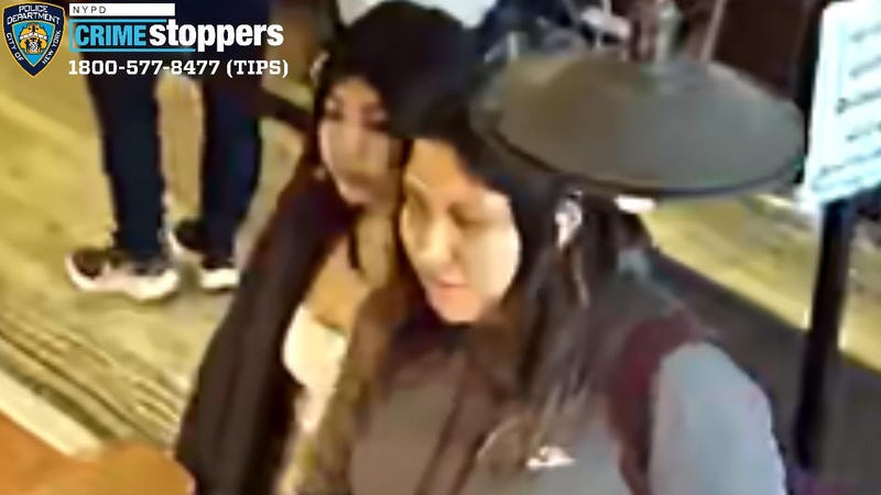 Gym suspects