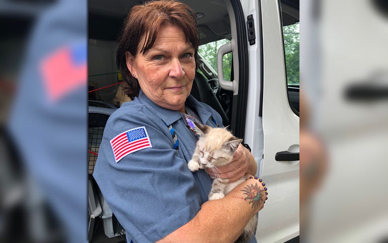 NJ cat rescue