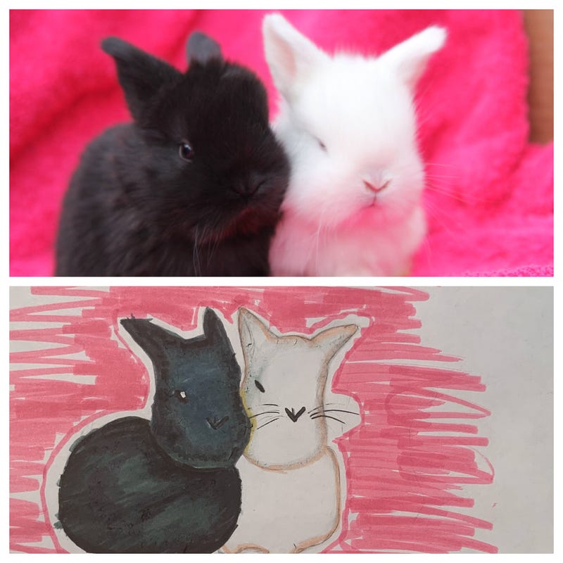 Draw for Paws portrait