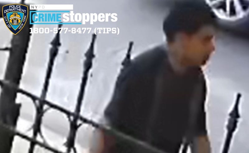 Police are searching for a suspect in Monday's rock attack