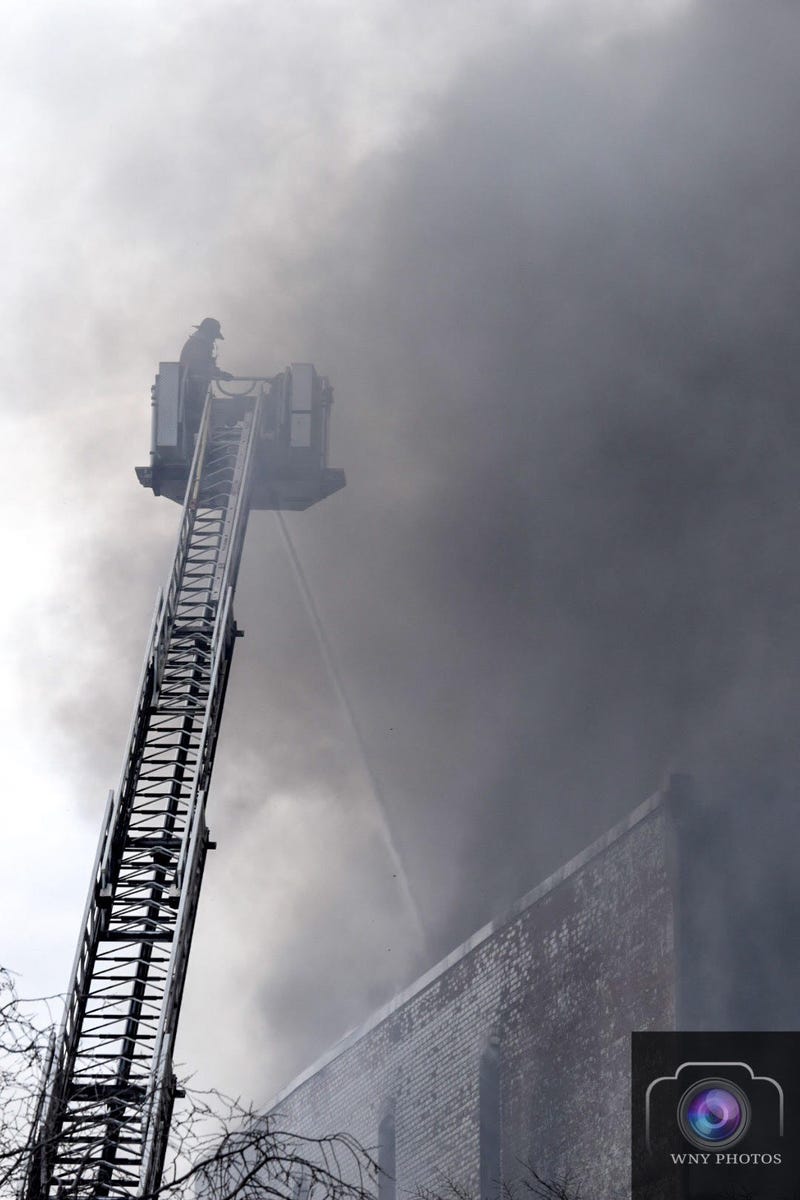 Buffalo Fire