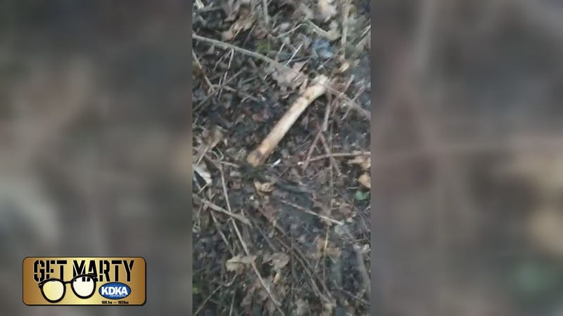 Jason Oehling discovers more of his daughter's bones at the crime scene more than one week later.