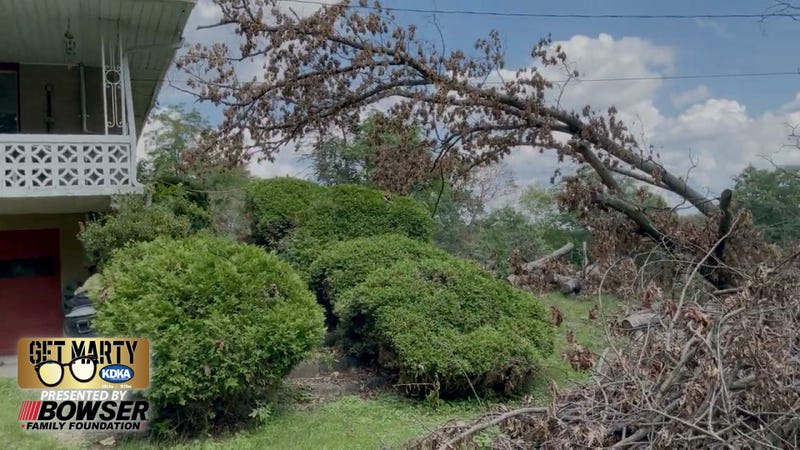 Fallen tree on house