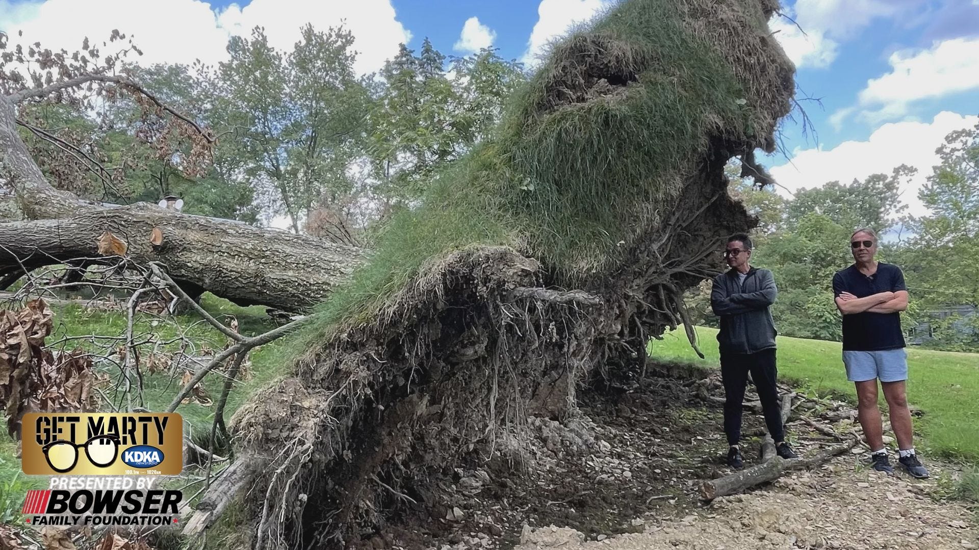 Get Marty: Giant tree leaves homeowner with a massive mess.