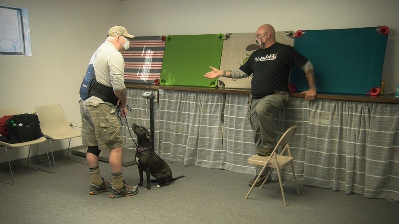 Trainer Paul Anthony introduces Eric to "Roxy"