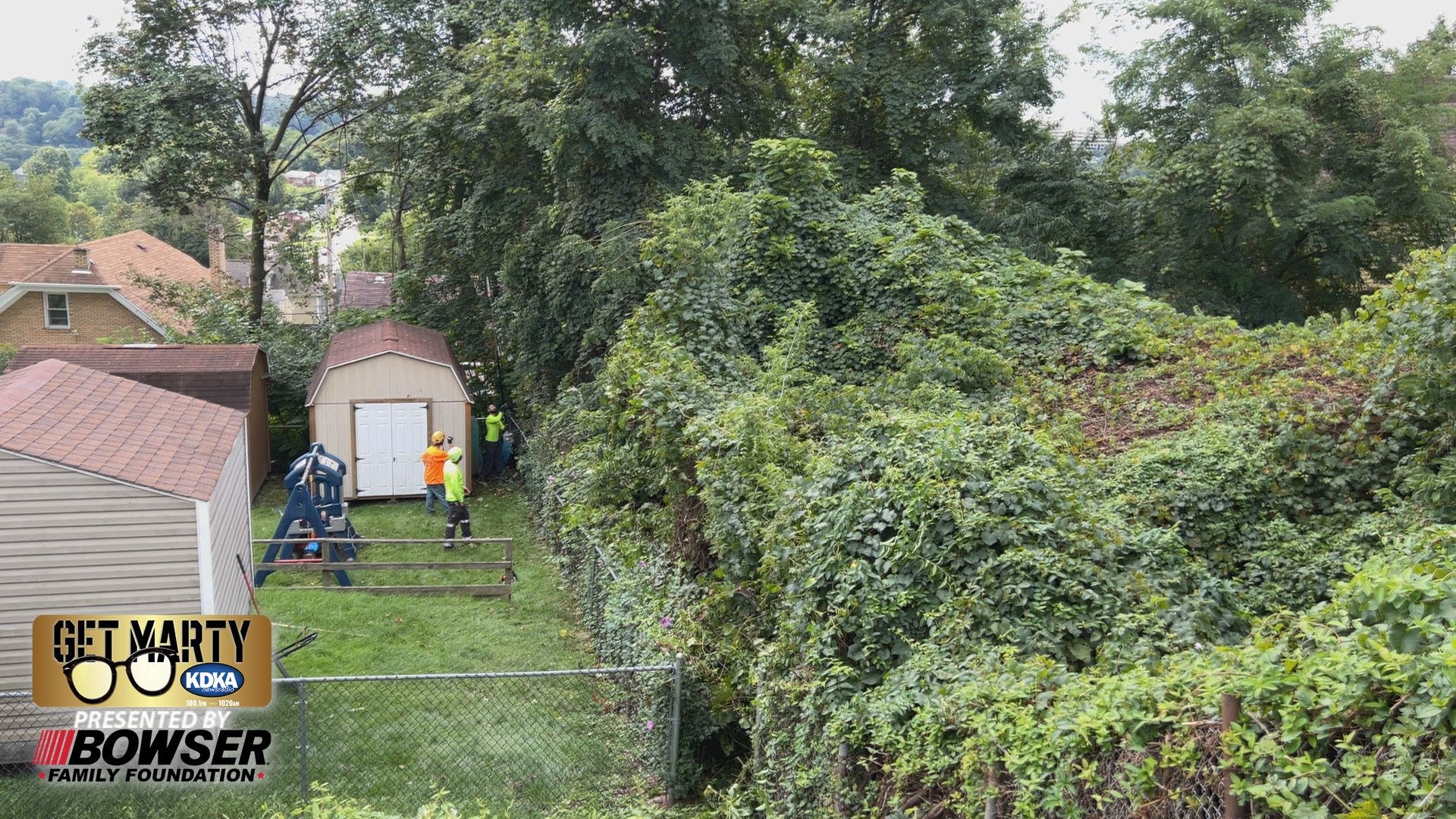 Get Marty: Hero tree service comes to the rescue for veteran's widow