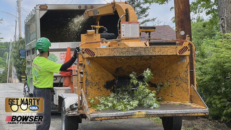 This GPTS woodchipper shreds the tree from Leo's yard, finishing off a 2-day project.