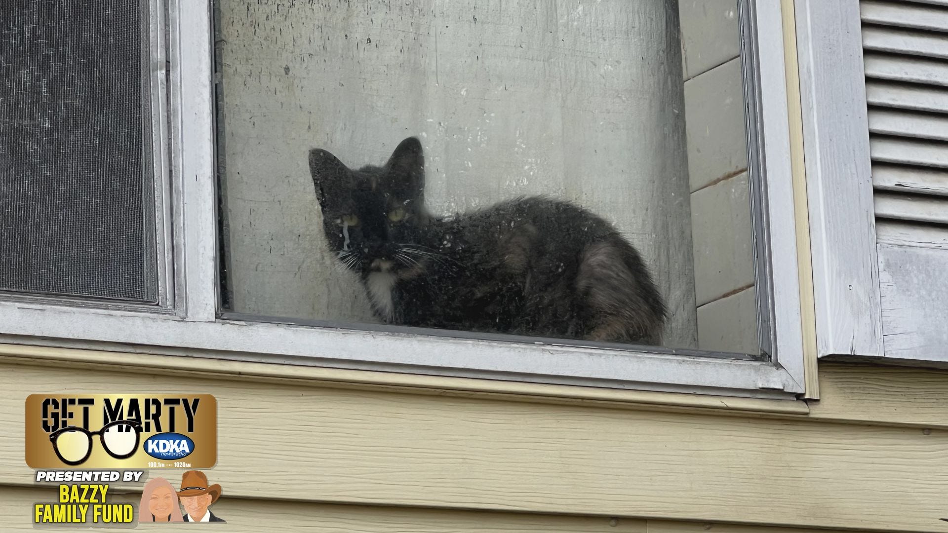 Get Marty: 80-Year-Old woman in foreclosed home needs help with more than 20 cats