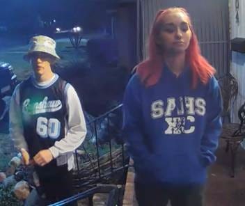 Police looking for vandals