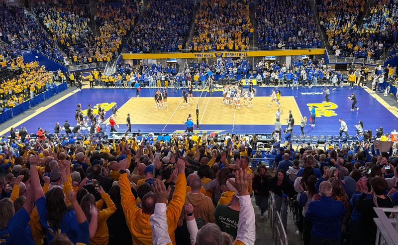 Pitt volleyball in the Petersen Events Center